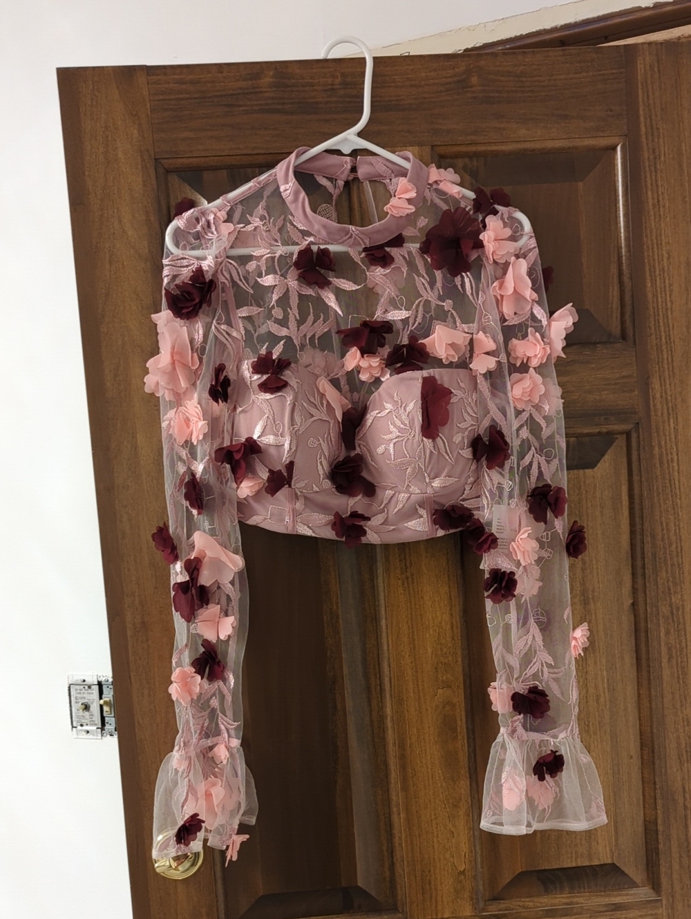 Pink Floral Appliqué Sheer Long-Sleeve Crop Top